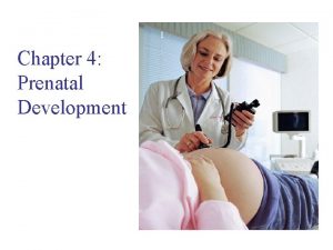 Chapter 4 Prenatal Development Objectives Describe three major