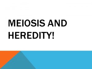 MEIOSIS AND HEREDITY OVERVIEW VARIATIONS ON A THEME