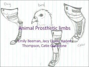 Animal Prosthetic limbs Emily Beeman Jacy Essex Haden