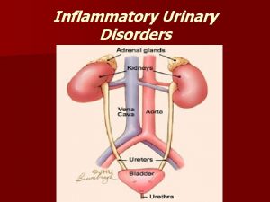 Inflammatory Urinary Disorders URINARY TRACT INFECTION n The