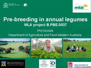 Prebreeding in annual legumes MLA project B PBE