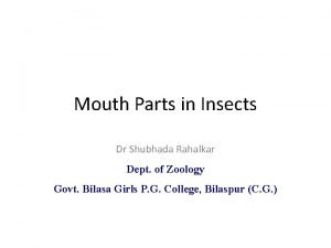 اجزاء الفم في الحشرات