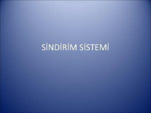 SNDRM SSTEM Sindirim sistem Sindirim kanal az farinks