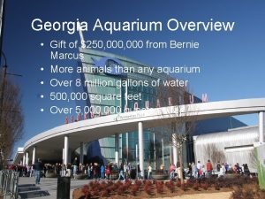 Georgia Aquarium Overview Gift of 250 000 from