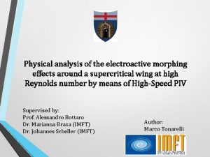 Physical analysis of the electroactive morphing effects around