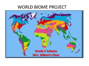 Biome project rubric