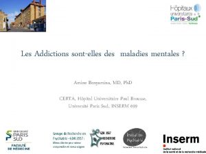 Les Addictions sontelles des maladies mentales Amine Benyamina