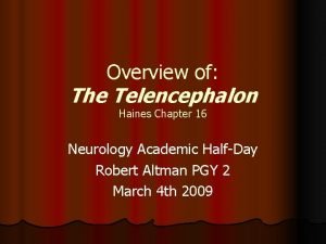 Overview of The Telencephalon Haines Chapter 16 Neurology