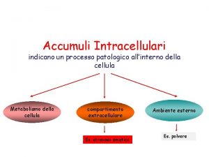 Accumuli Intracellulari indicano un processo patologico allinterno della