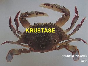 KRUSTASE Fredinan Yulianda 2005 SEJARAH SISTEMATIKA Dahulu Triarthus