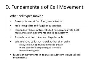 Endosymbiotic theory