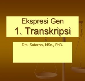 Ekspresi Gen 1 Transkripsi Drs Sutarno MSc Ph