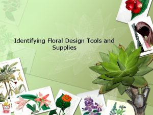 Floral design tools and supplies