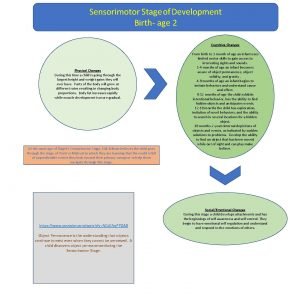 Sensorimotor Stage of Development Birth age 2 Cognitive