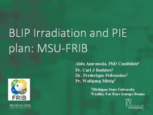 BLIP Irradiation and PIE plan MSUFRIB Aida Amroussia