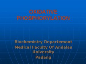 OXIDATIVE PHOSPHORYLATION Biochemistry Departement Medical Faculty Of Andalas