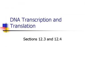 Transcription and translation