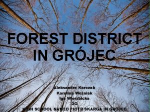 FOREST DISTRICT IN GRJEC Aleksandra Korczak Karolina Woniak