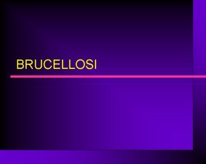 BRUCELLOSI EPIDEMIOLOGIA La brucellosi una zoonosi causata da