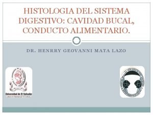 Estomago histologia