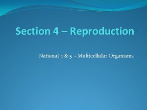 Section 4 Reproduction National 4 5 Multicellular Organisms