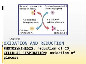 What gets oxidized in photosynthesis