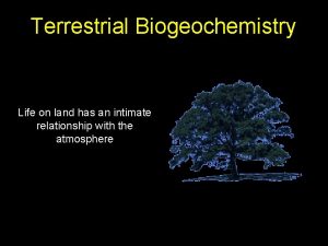 Terrestrial Biogeochemistry Life on land has an intimate