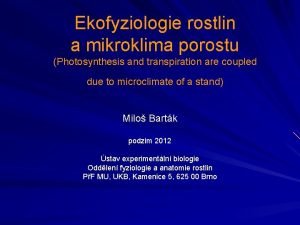 Mikroklima definition