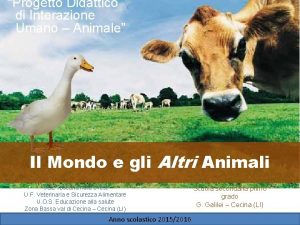 Progetto Didattico di Interazione Umano Animale Il Mondo