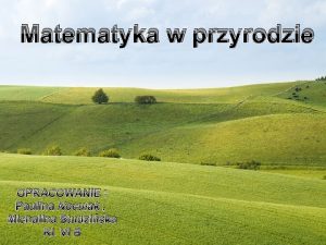 Matematyka w przyrodzie Wykonay OPRACOWANIE Michalina Studziska i