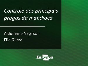 Controle das principais pragas da mandioca Aldomario Negrisoli