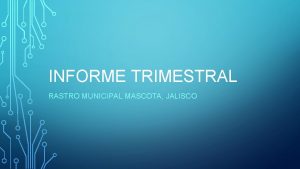 INFORME TRIMESTRAL RASTRO MUNICIPAL MASCOTA JALISCO JULIO En