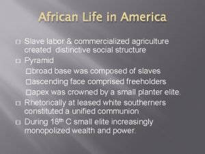African Life in America Slave labor commercialized agriculture