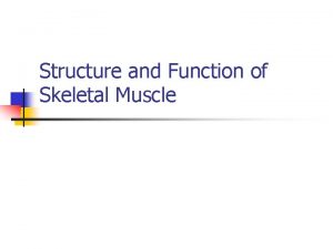 Structure and Function of Skeletal Muscle Striated Involuntary