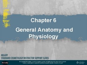 Chapter 6 general anatomy and physiology