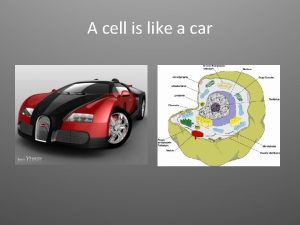 Cell is like a car