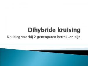 Dihybride kruising Kruising waarbij 2 genenparen betrokken zijn