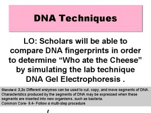 DNA Techniques LO Scholars will be able to