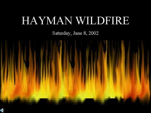 HAYMAN WILDFIRE Saturday June 8 2002 DEDICATED TO