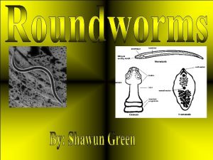 Roundworms are Parasites or Larva Migrans they are