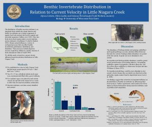 Benthic Invertebrate Distribution in Relation to Current Velocity