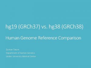 Grch38 vs hg19