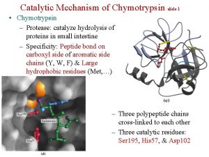 Catalytic Mechanism of Chymotrypsin slide 1 Chymotrypsin Protease