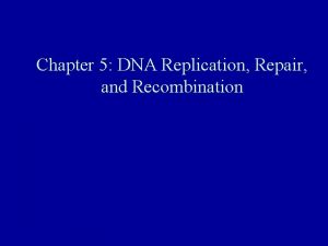 Chapter 5 DNA Replication Repair and Recombination Goals