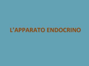 LAPPARATO ENDOCRINO GENERALITA Lapparato endocrino costituisce il secondo