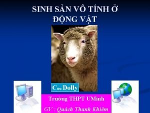 SINH SN V TNH NG VT Cu Dolly