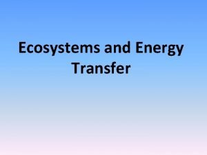 Ecosystems and Energy Transfer Ecosystem Ecology Basics We