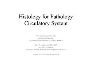 Histology for Pathology Circulatory System Theresa Kristopaitis MD
