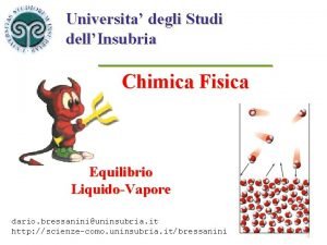 Universita degli Studi dellInsubria Chimica Fisica Equilibrio LiquidoVapore