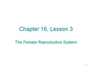 Chapter 16 lesson 3 the female reproductive system